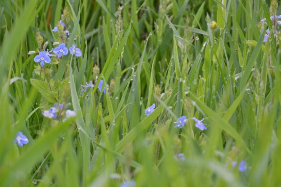 Die dänische Südsee ctd ( (c) gehkacken.de, Foto by lieblingsmoni)