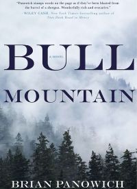 Brian Panowich - Bull Mountain (G. P. Putnam's Sons, 2015)