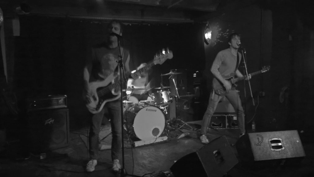 Küken (Hafenklang, Hamburg, 12.08.2017 (c) gehkacken.de 2017)