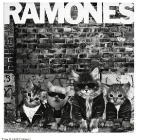 Record covers covered
