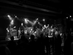 Bar Stool Preachers (Grosse Freiheit 36, Hamburg, 02.07.2019)