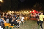 Festivalszenerie 2.JPG