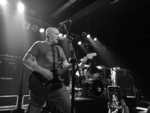 Descendents - 6 (Kulturzentrum Faust, Hannover, 08.08.2019).jpg