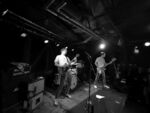 Küken - 1 (Hafenklang, Hamburg, 13.04.2022).jpg
