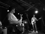 Küken - 3 (Hafenklang, Hamburg, 13.04.2022).jpg