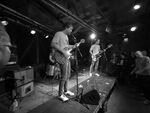 Küken - 4 (Hafenklang, Hamburg, 13.04.2022).jpg