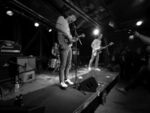 Küken - 5 (Hafenklang, Hamburg, 13.04.2022).jpg