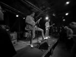 Küken - 6 (Hafenklang, Hamburg, 13.04.2022).jpg