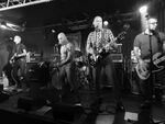 The Bois - 3 (Monkeys Music Club, Hamburg, 30.09.2022).jpg