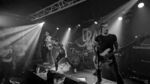 Cran - 5 (Monkeys, Hamburg, 17.09.2023).jpg