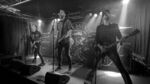 Los Pepes - 5 (Monkeys, Hamburg, 29.09.2023).jpg