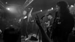 CMI - 2 (Monkeys, Hamburg, 25.10.2023).jpg