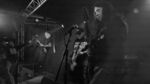 CMI - 4 (Monkeys, Hamburg, 25.10.2023).jpg
