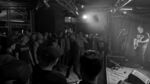 CMI - 6 (Monkeys, Hamburg, 25.10.2023).jpg