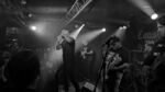 CMI - 9 (Monkeys, Hamburg, 25.10.2023).jpg