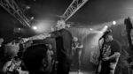 CMI - 13 (Monkeys, Hamburg, 25.10.2023).jpg