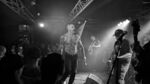 CMI - 20 (Monkeys, Hamburg, 25.10.2023).jpg