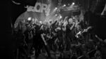 Razors - Family 7 (Knust, Hamburg, 30.12.2023).jpg