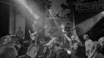 Küken - 6 (Stellwerk, Hamburg, 03.02.2024).jpg