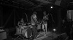 Küken - 3 (Hafenklang, Hamburg, 03.11.2024).jpg