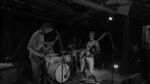 Küken - 4 (Hafenklang, Hamburg, 03.11.2024).jpg