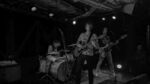 Küken - 7 (Hafenklang, Hamburg, 03.11.2024).jpg