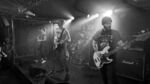 Claimed Choice - 3 (Monkeys, Hamburg, 23.02.2025).jpg