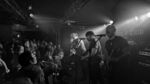 Lions Law - 6 (Monkeys, Hamburg, 23.02.2025).jpg