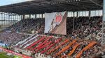 FCSPVFLB_2.jpg