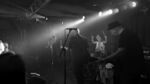 999 - 3 (Monkeys, Hamburg, 26.07.2025).jpg