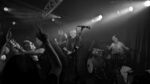 999 - 6 (Monkeys, Hamburg, 26.07.2025).jpg