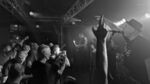 999 - 7 (Monkeys, Hamburg, 26.07.2025).jpg
