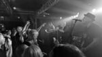 999 - 8 (Monkeys, Hamburg, 26.07.2025).jpg